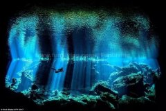 <b>2017年水下世界摄影大奖获奖作品欣赏</b>
